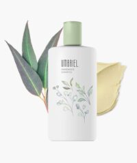 Lotion Base